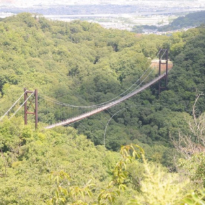 日本最大級の吊り橋。ハラハラしながらも絶景が楽しめる「星のブランコ」