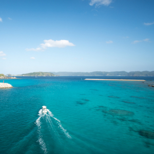 あなたは旅行に行きますか。それとも旅をしますか。