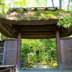 【京都嵐山】モフモフ感がたまらない、祇王寺の苔ワールドにようこそ