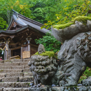 年齢と性別を伝えると神職者がひいてくれる、戸隠神社の日本神話のおみくじ