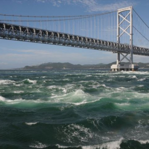 見れるかどうかは行ってみるまでわからない！ドキドキの「うずしおクルーズ」【淡路島旅行記１】