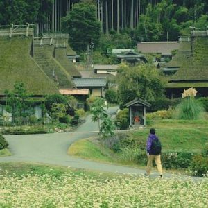 「まさか、京都で喧嘩するなんて思わなかった」知らなかったその一面にドキッとする。京都未体験ゾーンに触れる、観光動画３選！