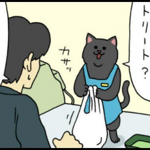【漫画】レジネコ　第59回（作：キューライス）
