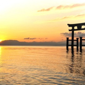 【滋賀 最新レポ】 琵琶湖随一の絶景スポット「白鬚神社」の大鳥居、見どころは？