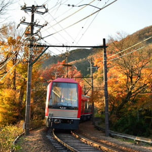 一面に広がるすすき草原に感動。秋めく箱根で絶景を撮る！