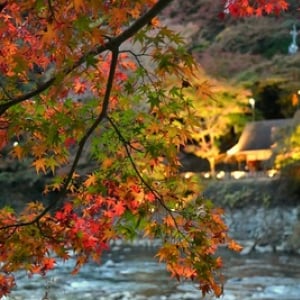 【愛知 旅のおすすめ】 紅葉ライトアップが美しすぎる「香嵐渓」、インスタフォトコンも実施