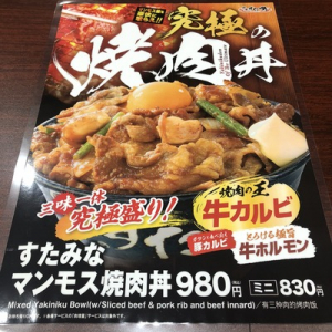 いい肉の日には「いい肉の丼」を！すた丼が濃い味ジャンキーな焼肉丼を11月29日から限定販売！！