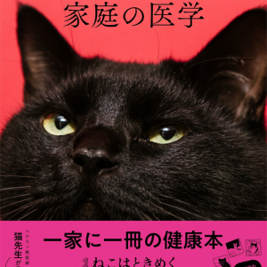 食欲のない猫にはナニが正解？　おやつは必要？　獣医さんが教える長生き猫ごはん