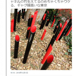 東京の代官山がオシャレすぎた結果→「シャネルの竹生えてる」「草を超えて竹」ツッコミ相次ぐ