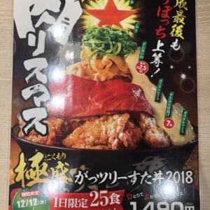 “クリぼっち”でもパーティ気分　「伝説のすた丼屋」が約25cm、総重量1.2kg超えの“クリスマスツリー”な丼を12/12（水）～12/25（火）まで限定販売！