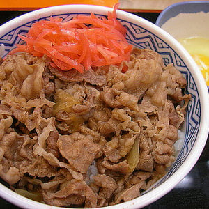 早くて、うまくて、安いの代名詞「牛丼」はこう食べろ！芸能人のこだわりの食べ方を集めてみた！！