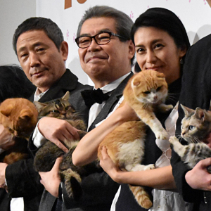 にゃんこ7匹が登壇！映画『ねことじいちゃん』初日舞台挨拶「岩合監督は猫のことばっかり」とキャスト明かす