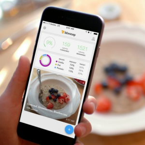 AIを活用し食事をスマホで撮影するだけでカロリーを算出する記録アプリ「Bitesnap」