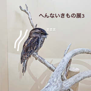 大人気だったあの特別展が帰ってきた！「へんないきもの展3」がサンシャイン水族館で本日から開催中♡