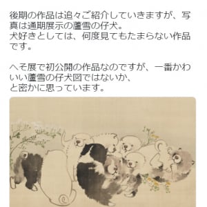 『へそまがり日本美術展』で初公開のゆるすぎる“蘆雪の仔犬図”に「手のひらでコロコロしたいくらい可愛い」の声