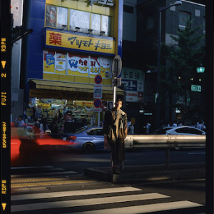鈴木親の写真展「わたしの、東京」、東京の風景や花の作品など約25点を展示