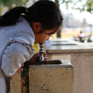 公園の水道はなぜ〇〇な形をしているのか…///