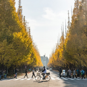 秋はあっという間に終わるから。東京から行ける紅葉スポット5選をおさえておいて