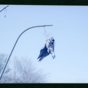 高橋恭司の写真展「LOST 遺失」、複数の時間と空間が交差する作品20点