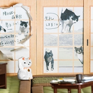 読みたかったらニャンコと一緒に障子を破って♡フェリシモ猫部のメッセージカードが遊び心ありすぎなんです♩