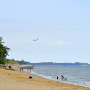 【シンガポール】 市民憩いの場、海浜公園にある「ビーチ」が見えるスターバックス