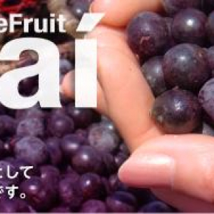 美女注目のスーパーフルーツが楽しめる「アサイーバー」　渋谷ヒカリエに期間限定で登場