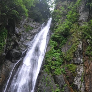 豊かな自然が残る奥静岡で、日本の滝百選・安倍の大滝で癒されよう！