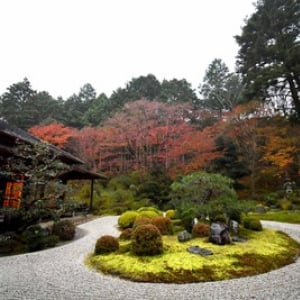 【京都 石庭めぐり】 洛北の名刹・曼殊院で枯山水庭園＆「石庭スイーツ」づくり