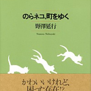 新刊著者にきく：7月30日発売『のらネコ、町をゆく』(NTT出版)野澤延行さん