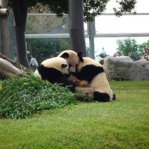 行ってよかった動物園&水族館ランキング2012