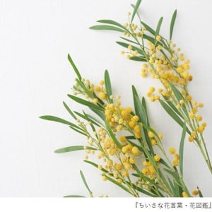 花言葉で「愛」を伝える！　春のイベントで贈りたい花６選とその花言葉