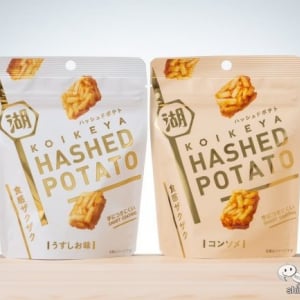 油も粉も手につかないスナックなら仕事中に食べられる!? 『HASHED POTATOうすしお味/コンソメ』を食べつつ記事を書いてみた