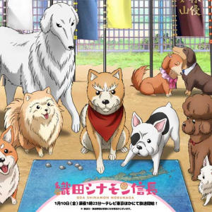 NHK大河『麒麟がくる』もびっくり！ 信長が犬になった深夜アニメが面白い