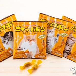 猫の日専用おやつ!? カンロ「ナッツボン」が『ニャッツボン』になって期間限定発売！