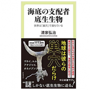 海の底は巣穴だらけ？　底生生物の不思議な生態