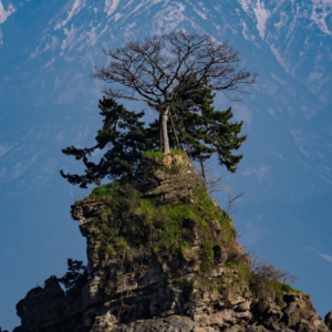 鳥肌が立った！「富山の本気」を撮った一枚がダイナミックでめちゃくちゃ美しい