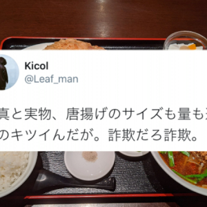 唐揚げのギャップが凄すぎる！メニューの写真と実物の嬉しい詐欺が話題に