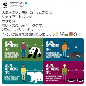 人との適切な距離は「ジャイアントパンダ」1頭分！ WWFジャパンのツイートに注目集まる