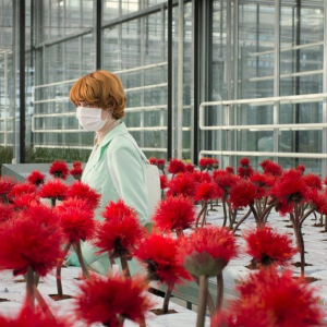 新種の花をめぐるボタニカル・スリラー『リトル・ジョー』が公開延期を発表［ホラー通信］