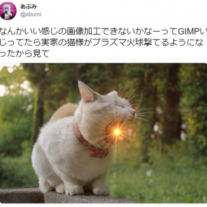 プラズマ火球を撃つ猫の写真がTwitterで大人気 　「ニャメラ」「一兆度ありそう」との声