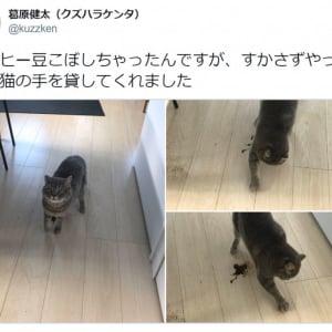 猫の手を借りるってこういうことか……！　お手伝いにすかさず駆けつけるニャンコが話題に