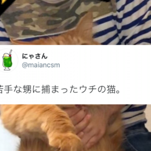 「あぁ、終わりだニャ･･･」苦手な甥っ子に捕まった猫の表情が絶望感しかない(笑)