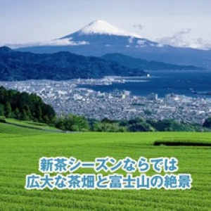 おうちGW、静岡市の「絶景」に心を癒される！ 動画公開中