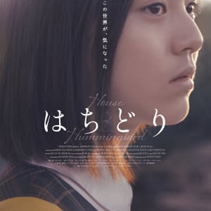 2度と戻らない10代の不思議で美しい日々を切り取った 『はちどり』  6/20（土）公開日決定 !