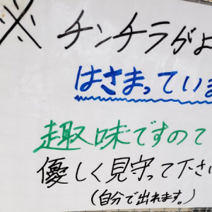 「趣味ですので見守って下さい」チンチラの変わった趣味とケージの張り紙に笑った