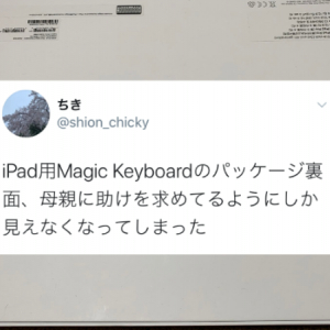 iPad用キーボードのパッケージ裏面が、母親に助けを求めてるようにしか見えない(笑)