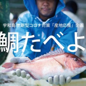 【えひめ 最新レポ】 鯛の産地を応援！「#鯛たべよう」SNSキャンペーン
