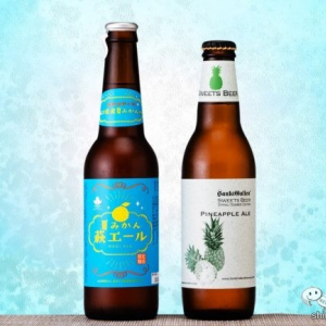 【フルーツエール飲み比べ】夏にぴったりフルーツエールは、旬の果実が香る軽やかな飲み心地！【宅飲み】