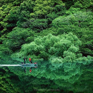 水面が一瞬わからなかった･･･偶然見つけた新緑の水鏡が幻想的