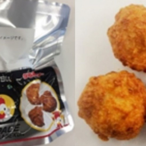 ローソンの「からあげクン」が宇宙へ！コンビニのオリジナル商品として初の宇宙日本食に